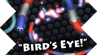 Bird's Eye View // slither.io domination