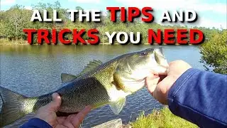 These CHEATS Make Bank Fishing So EASY!!!!
