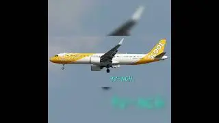 Scoot: Fleet information.
