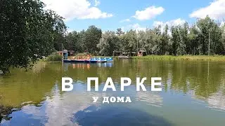 В парке у дома. 29.07.2024г.