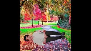 rescue a wounded guy video walkthrough