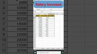 Salary Increase in Excel | Muabi Design