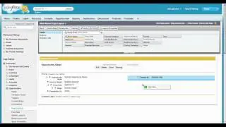 Creating a Record Type and Page Layout in Salesforce.com