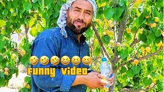 ویدیو های جالب و دیدنی از خلیفه کریم