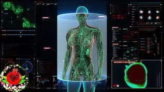 Доктор объясняет, как мгновенно устранить тревогу, используя ваш блуждающий нерв.