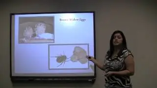 Spider Informative Speech. Good attention getter.
