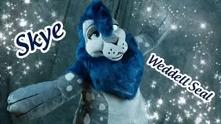 Skye the Weddell Seal!