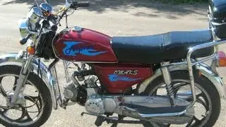 Альфа какашка!