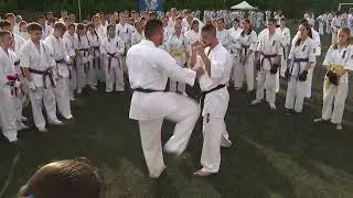 Low kick counter by Nikolay Yorgov
