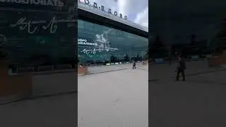 Москва. Обстановка в  аэропорту Домодедово 