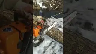 Бензопила Holzfforma G 366 в роботі