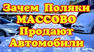 Зачем Поляки МАССОВО ПРОДАЮТ АВТОМОБИЛИ ??? Цены👍👍👍
