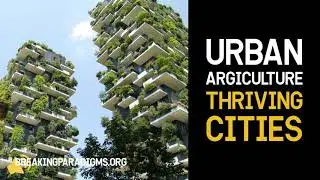 Urban Agriculture - Thriving Cities | breaking paradigms