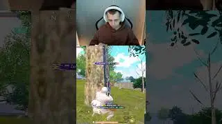 Голяк с Золотой Мк14