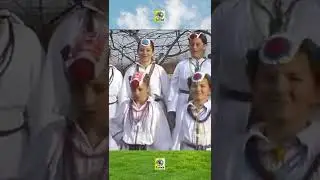 Nema žene na svijetu da se ljubi bolje, ko šokica kad je dobre volje 