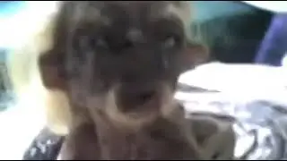 АЛЛОХ БУЗУРГ АСТ
