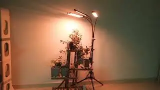 Распаковка. Нужные ,нужности.
