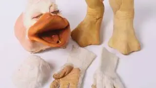 Lemon Demon - Nightmare Fuel