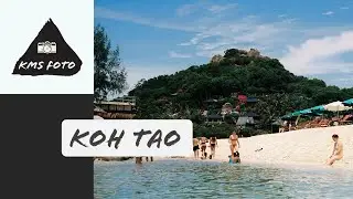 Snorkeling in Koh Tao, Thailand