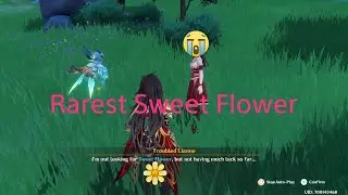 Genshin Impact - Lianne's Rarest Sweet Flower