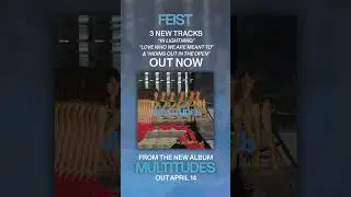 Feist - Multitudes 