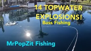 14 Topwater fishing explosions! Big Bass topwater action. Last bass jumps completely out of water!