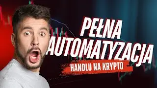 Automatyczny zysk w nocy! Dexcelerate – Bot, który handluje za Ciebie.