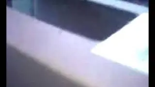 Stuck kitten