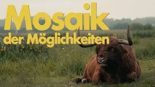 Mosaik der Möglichkeiten