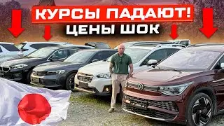 Курс Падает — Авто Дешевеют! Что Берут из Японии, Кореи и Китая Летом?