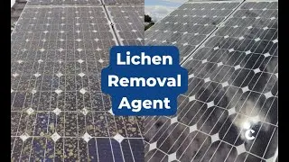How to remove fungi from solar panels without voiding its warranty