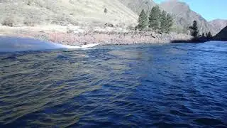 2021 Salmon River Jetboat Races - Riggins, Idaho - Boat 309