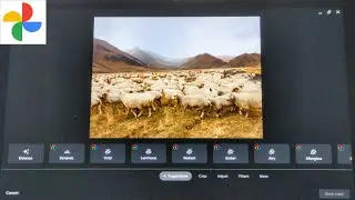 Google Photos: Paid and Free Features & Google One Subscription (March 2021)