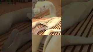 Albino 5 Japanese girl eaten in spa (3d vore animation)