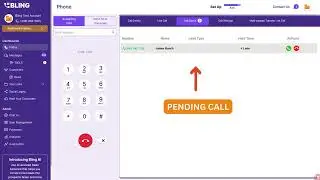 Bling Feature - Call Queue