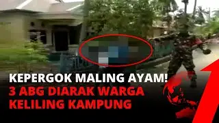Kepergok Maling Ayam, 3 ABG Diarak Warga Keliling Kampung