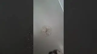 1 сентября 2022 г.