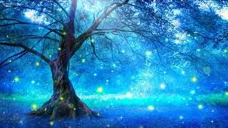 10 ore di musica rilassante per il sonno antistress, insonnia 10시간 잔잔한 수면음악  스트레스 해소음악, 잠잘때 듣는 음악,