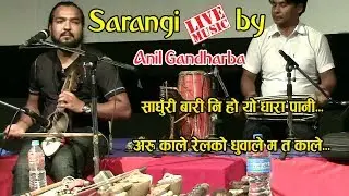 Great Nepali songs in Sarangi Music by Anil Gandarbha