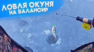 ПЕРВЫЙ ЛЁД В ФЕВРАЛЕ! ЛОВЛЯ ОКУНЯ НА БАЛАНСИРЫ!