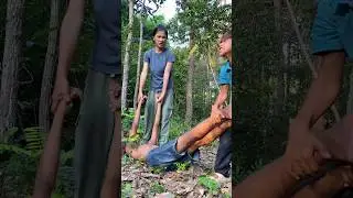 Survival Skills: Shorts Film 