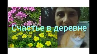 Поездка к маме