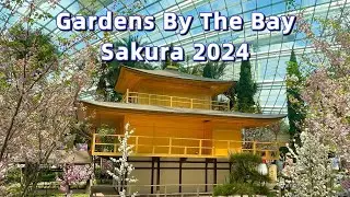 Gardens By The Bay - Flower Dome (Sakura 2024)