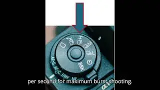 Optimizing the Sony A1 for Sports and Action Photography: Step-by-Step Guide