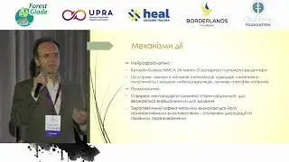 Психоделически ассистированная терапия. В.Матреницкий 2023