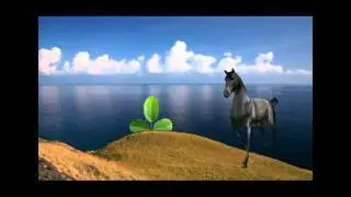 3D photo