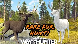 If it isn't a rare fur I don't want it! | Way of the Hunter