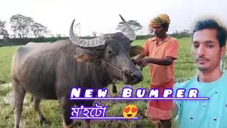 বহুতে short video টোত Comments কৰি থকা নতুন ম'হটো 😍///New update 2024/6 june