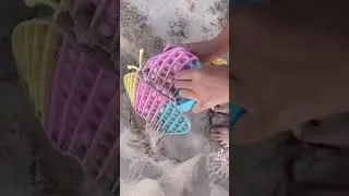 откопала попиты в песке (видео из тик тока)