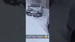 audi quattro